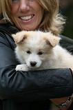 ADULTE ET CHIEN 302